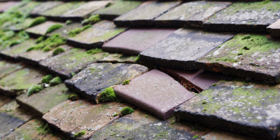 Mevagissey roof repair costs